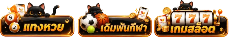 ปุ่มแมว